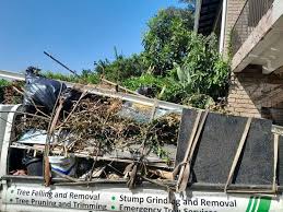 Best Basement Cleanout in Carthage, TX